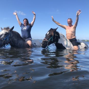 Florida Beach Horses - Swimming with Wahoo and Conga - Beaches Near Me - Bradenton, Florida