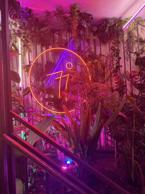 77° Rooftop Patio Bar by null