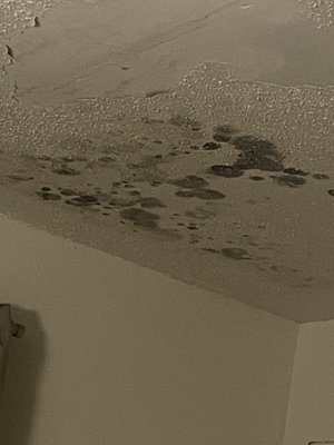 Hometowne Studios Houston - Northwest