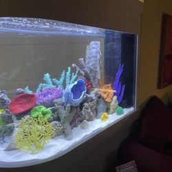San Diego Aquarium Cleaning