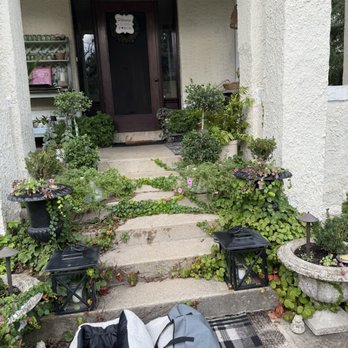 Beverly Dog Boarding - Pet Boarding Near Me - Chicago, Illinois