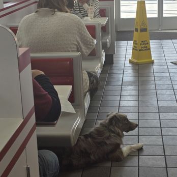 In-N-Out Burger - Burgers Near Me - Sherman Oaks, California