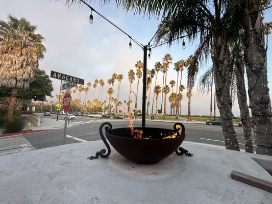 Flor De Maiz by null