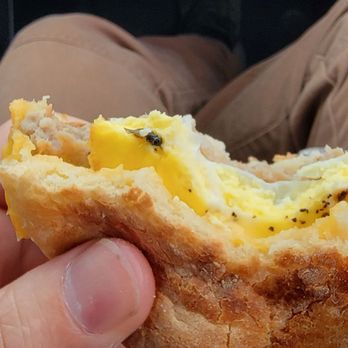 The Birds Cafe - Extra protein . - Seafood Near Me - Bodega Bay, California