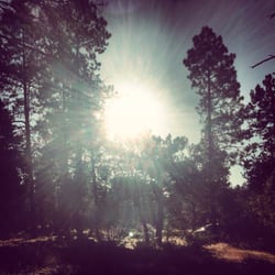 Mingus Mountain - Morning Sunshine!