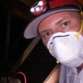 Carpinteria Valley Exterminating - Deep in the bowels of somebody's attic. Rodent proofing - Pest Control Near Me Carpinteria Valley Exterminating - Deep in the bowels of somebody's attic. Rodent proofing - Pest Control Near Me