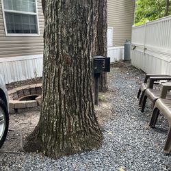 Sun Outdoors Cape May - You can see where we had to bring the front of the car to the fire pit.