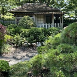 New Hanover County Arboretum