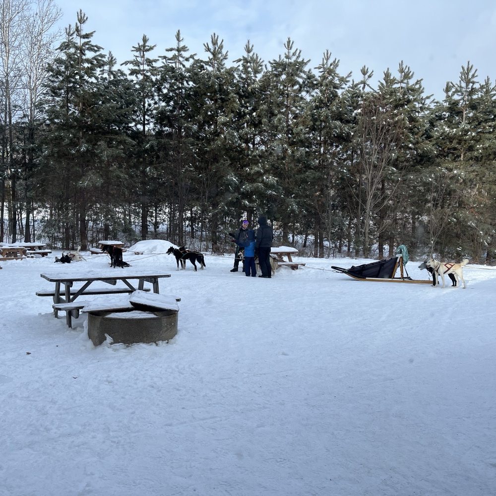 Kinadapt - The dog sleds - Pet Training Near Me - Rawdon, Quebec