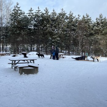 Kinadapt - The dog sleds - Pet Training Near Me - Rawdon, Quebec