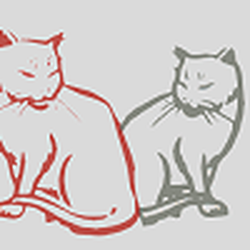 Roter Kater & Graue Katze