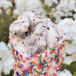 London Fpg flavored ice cream in a white chocolate and sprinkles cone. London Fpg flavored ice cream in a white chocolate and sprinkles cone.