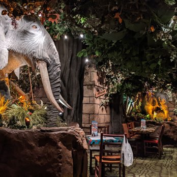 Rainforest Cafe - American Near Me - San Antonio, Texas Rainforest Cafe - American Near Me - San Antonio, Texas