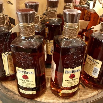 The Wise Old Dog by null