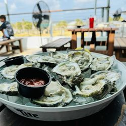 Salt Life Food Shack - Oysters on the Half Shell*
