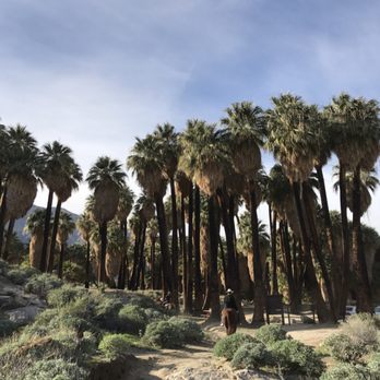 Smoke Tree Stables - Horseback Riding Near Me - Palm Springs, California Smoke Tree Stables - Horseback Riding Near Me - Palm Springs, California