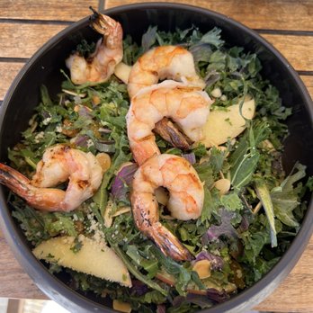 Waverly - Kale salad with shrimp - Breakfast & Brunch Near Me - Cardiff, California