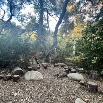 Santa Barbara Botanic Garden - Botanical Gardens Near Me - Santa Barbara, California Santa Barbara Botanic Garden - Botanical Gardens Near Me - Santa Barbara, California