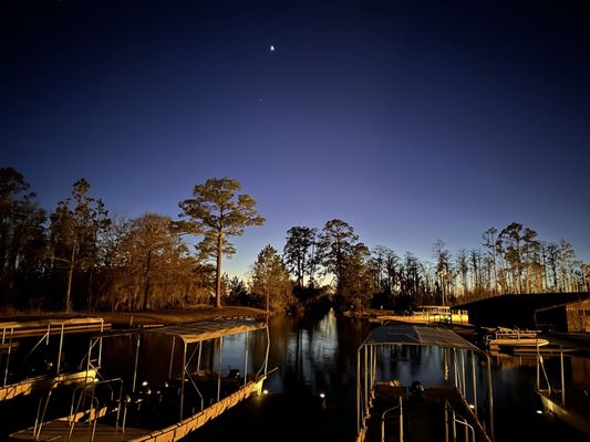 Okefenokee Adventures by null