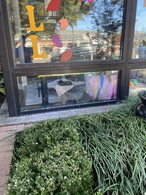 Cat Tales Cat Cafe by null