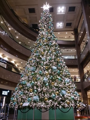 Ngee Ann City by null
