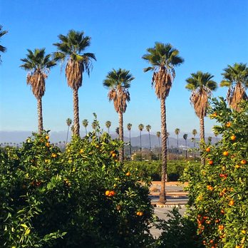 California Citrus State Historic Park - Parks Near Me - Riverside, California California Citrus State Historic Park - Parks Near Me - Riverside, California