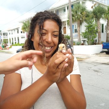 Paradise Bike Tours - Tours Near Me - Key West, Florida Paradise Bike Tours - Tours Near Me - Key West, Florida