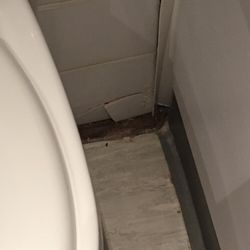 The Royal Court Hotel - Mold in the bathroom.