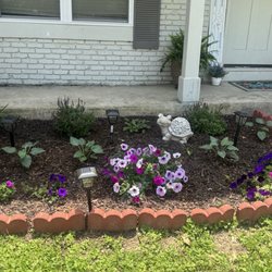 Plant Place - All my petunias, hosta, salvia, and black eye Susan came from the nursery.