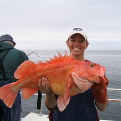 Action Alaska Sportfishing - Yellow eye rockfish