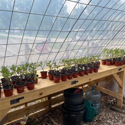 Rosewood Lakeside Farm - Nice greenhouse.