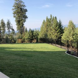 CQC Landscaping - Beautiful landscape install- sod, trees planted, and rose shrubs. Creating a beautiful environment to relax!