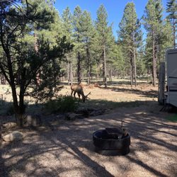 ten x campground