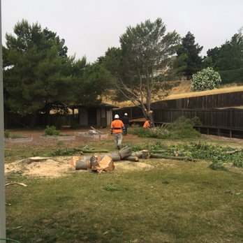 C&W Tree And Landscape - Landscaping Near Me - Martinez, California