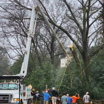 Broken Branch Tree Service - Tree Services Near Me - Smiths Station, Alabama