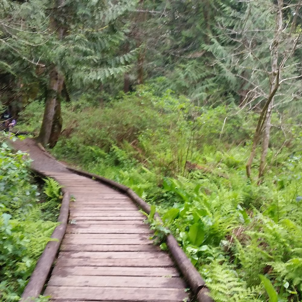 Burfoot Park - Parks Near Me - Olympia, Washington Burfoot Park - Parks Near Me - Olympia, Washington