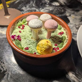 Musaafer - Mishti Doi - Indian Near Me - Houston, Texas Musaafer - Mishti Doi - Indian Near Me - Houston, Texas
