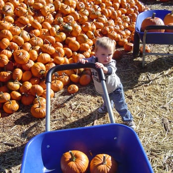 Mountainside School - Fun at the Pumpkin Patch - Child Care & Day Care Near Me - Issaquah, Washington Mountainside School - Fun at the Pumpkin Patch - Child Care & Day Care Near Me - Issaquah, Washington