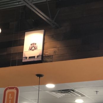 Black Bear Kitchen - Clermont - New American Near Me - Clermont, Florida