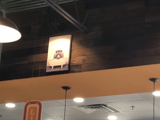 Black Bear Kitchen Clermont by null