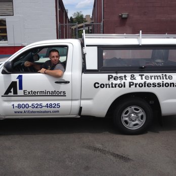 Accurate Graphics - A1 Exterminators Spot Graphics - Graphic Design Near Me - Lynn, Massachusetts Accurate Graphics - A1 Exterminators Spot Graphics - Graphic Design Near Me - Lynn, Massachusetts