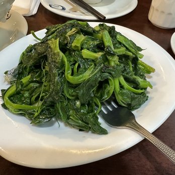 Kwan Luck Restaurant - Stir fried pea shoot tips - Chinese Near Me - Vancouver, British Columbia Kwan Luck Restaurant - Stir fried pea shoot tips - Chinese Near Me - Vancouver, British Columbia