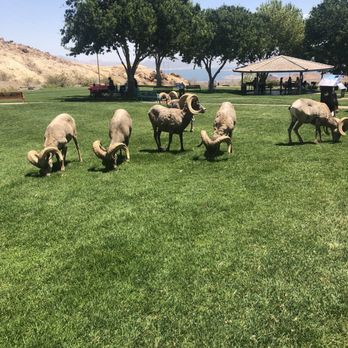 Bullets and Burgers - Rams we seen on a pit stop - Gun/Rifle Ranges Near Me - Las Vegas, Nevada Bullets and Burgers - Rams we seen on a pit stop - Gun/Rifle Ranges Near Me - Las Vegas, Nevada