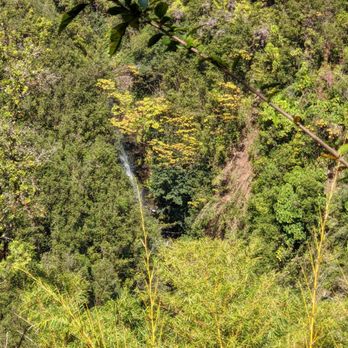Akaka Falls State Park - Parks Near Me - Honomu, Hawaii Akaka Falls State Park - Parks Near Me - Honomu, Hawaii