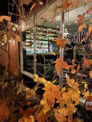 The Gin Room by null