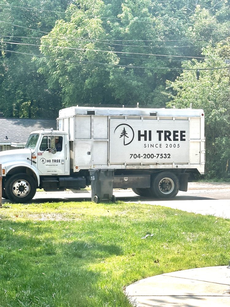 Hi Tree Service - tree service in Concord, NC