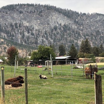 Covert Farms - a mountain in the background - Farmers Market Near Me - Oliver, British Columbia Covert Farms - a mountain in the background - Farmers Market Near Me - Oliver, British Columbia