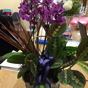 Nina's Flowers - Same day delivery and stellar pricing, loved what Dulce came up with for my mothers 69th birthday... - Florists Near Me - Encinitas, California