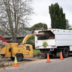 Rapid Tree Care - Efficient cleanup in a flash! Our Rapid Tree Care chipper trucks turn debris into mulch instantly, leaving your property spotless and tidy