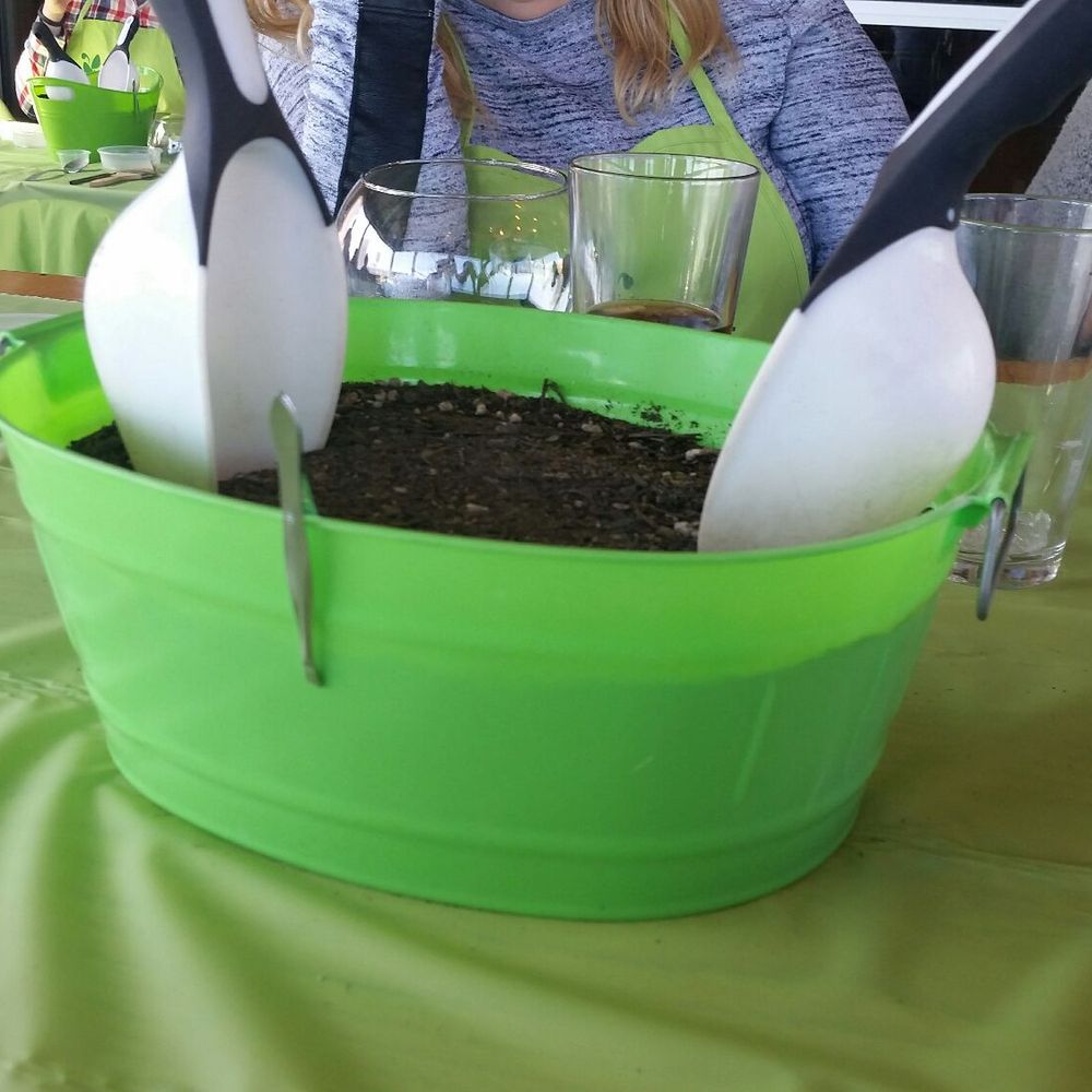 Yaymaker - Soil - Party & Event Planning Near Me